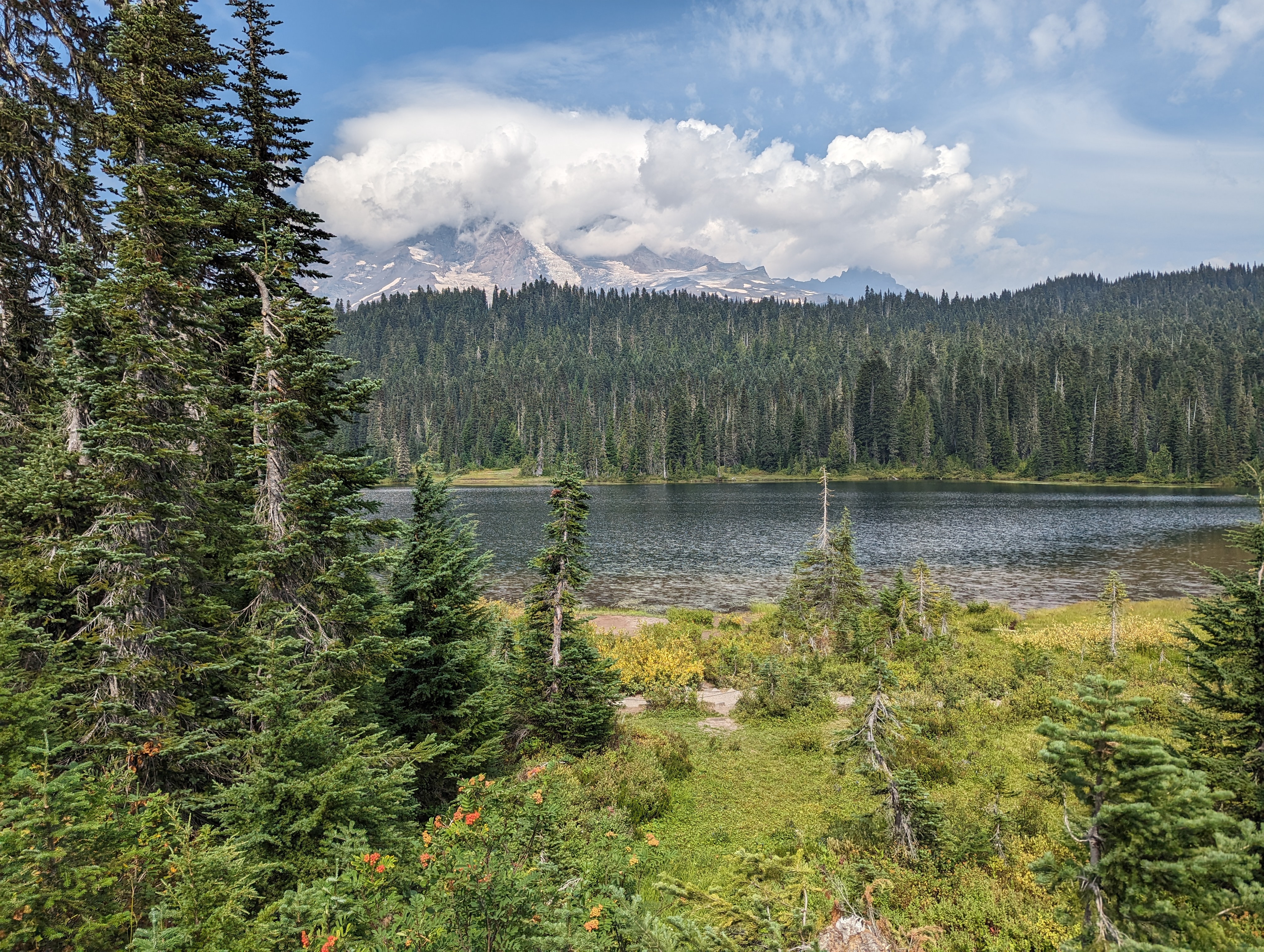 Washington State 2025 1